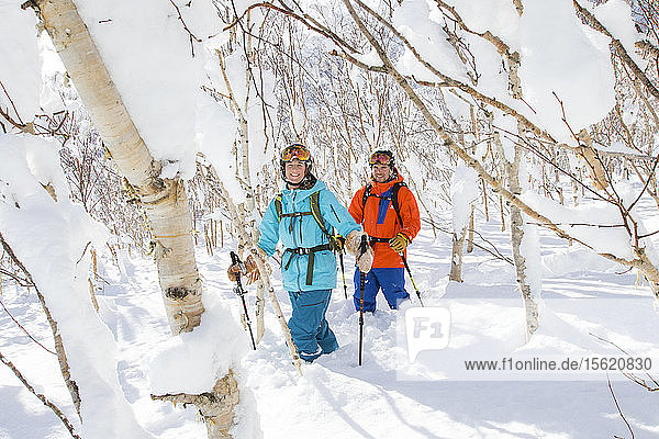 Eine Skiläuferin und ein Skiläufer laufen zwischen schneebedeckten Birken auf halber Höhe des Vulkans Annupuri im Skigebiet Niseko United. Der Schnee auf der japanischen Insel Hokkaido ist so weich  dass er ein Paradies für Skifahrer ist. Niseko United besteht aus vier Skigebieten auf einem Berg  dem Annupuri (1.308 m). Der 100 km südlich von Sapporo gelegene Niseko Annupuri ist Teil des Quasi-Nationalparks Niseko-Shakotan-Otaru Kaigan und ist der östlichste Park der Niseko-Vulkangruppe. Hokkaido  die nördliche Insel Japans  liegt geografisch ideal in der Bahn der beständigen Wettersysteme  die die kalte Luft aus Sibirien über das Japanische Meer bringen. Dies führt dazu  dass viele der Skigebiete mit Pulverschnee überhäuft werden  der für seine unglaubliche Trockenheit bekannt ist. In einigen der Skigebiete Hokkaidos fallen durchschnittlich 14-18 Meter Schnee pro Jahr. Niseko ist die Pulverschneehauptstadt der Welt und als solche das beliebteste internationale Skigebiet in Japan. Es bietet ein unvergessliches Erlebnis für Skifahrer und Snowboarder aller Niveaus.