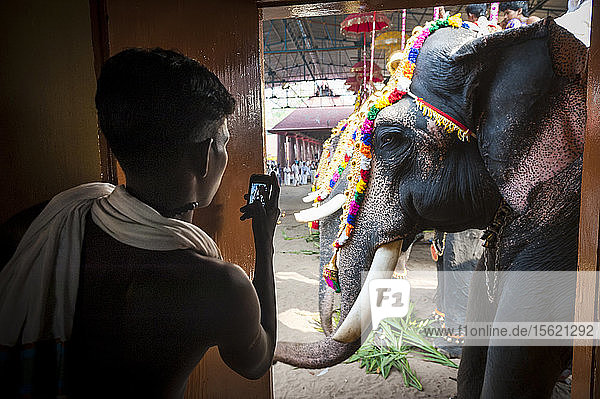 Ein Mann fotografiert einen Elefanten während eines Tempelfestes  Kottayam  Kerala  Indien.