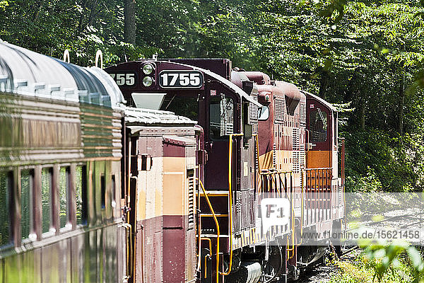 Reisen mit der Great Smoky Mountain Railroad