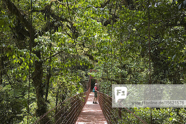 Wanderer auf einer Hängebrücke im Nebelwaldreservat Monteverde in Costa Rica