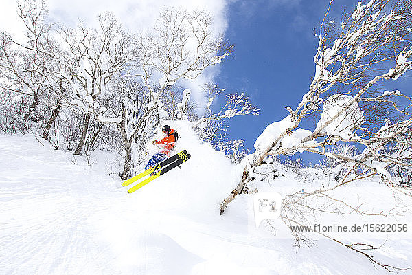 Ein männlicher Skifahrer springt durch die Bäume auf eine Tiefschneepiste im Skigebiet Niseko United auf der japanischen Insel Hokkaido. Niseko United besteht aus vier Skigebieten auf einem Berg  dem Annupuri (1.308 m). Der 100 km südlich von Sapporo gelegene Niseko Annupuri ist Teil des Quasi-Nationalparks Niseko-Shakotan-Otaru Kaigan und ist der östlichste Park der Niseko-Vulkangruppe. Hokkaido  die nördliche Insel Japans  liegt geografisch ideal in der Bahn der beständigen Wettersysteme  die die kalte Luft aus Sibirien über das Japanische Meer bringen. Dies führt dazu  dass viele der Skigebiete mit Pulverschnee überhäuft werden  der für seine unglaubliche Trockenheit bekannt ist. In einigen der Skigebiete Hokkaidos fallen durchschnittlich 14-18 Meter Schnee pro Jahr. Niseko ist die Pulverschneehauptstadt der Welt und als solche das beliebteste internationale Skigebiet in Japan. Es bietet ein unvergessliches Erlebnis für Skifahrer und Snowboarder aller Niveaus.