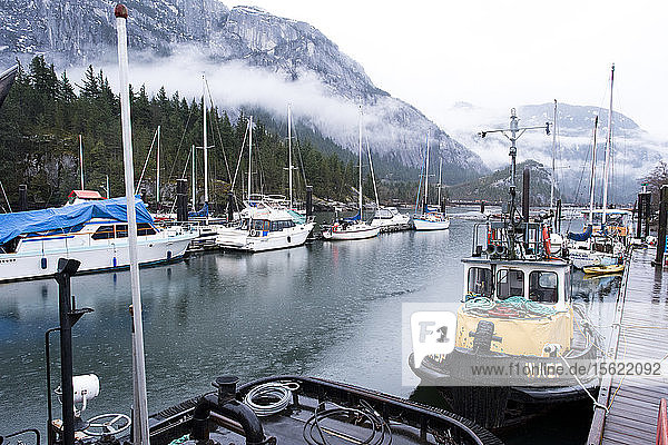 Blick auf den Hafen mit Segelbooten und Fischerbooten von Squamish  British Columbia  Kanada