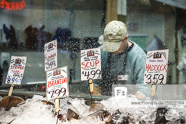 Fischhändler beim Säubern von Fisch hinter Wassertropfen auf Glas  mit frischem Fisch zum Verkauf auf einem Eisbett im Vordergrund. Innenraum des Harbor Fish Market  Portland Maine.