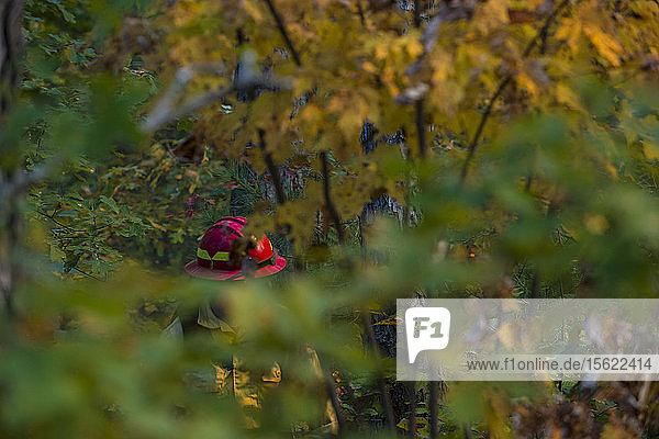 The Red Helmet Of A Wild Firefighter In The Foliage