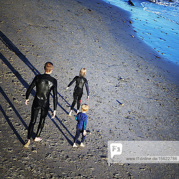 Hochformatige Rückansicht eines Vaters mit seinem Sohn und seiner Tochter  alle in Neoprenanzügen am Strand  kurz vor dem Sprung ins Meer in Santa Cruz  Kalifornien. USA.