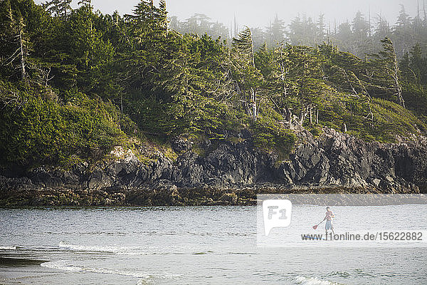 A young man paddles a SUP in Pacific Rim National Park  Vancouver Island  British Columbia.