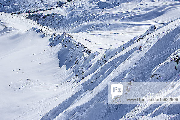 Professional Snowboarder Helen Schettini  rides fresh powder on a sunny day while snowboarding in Haines  Alaska.