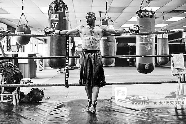 Portrait of male boxer leaning on boxing ring ropes and looking away  Taunton  Massachusetts  USA