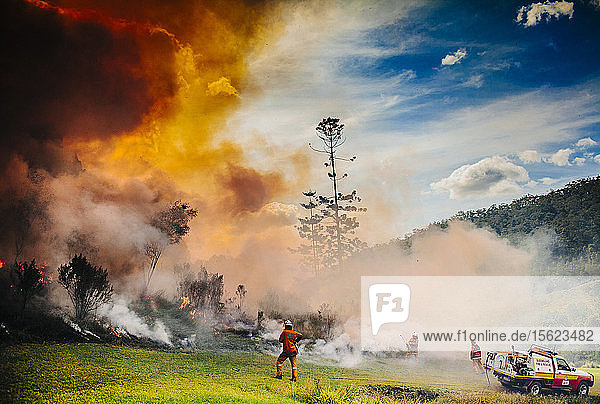 Firefighters conducting a hazard mitigation burn near Mount Tamborine  Queensland  Australia.