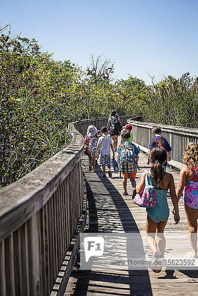 Children learning about coastal environments as part of an outdoor education program with the Audubon Society Bristol Rhode Island USA