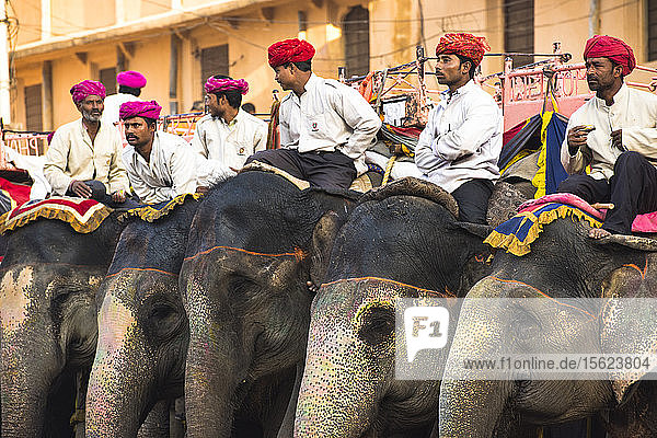 Guides sitting on their elephants outside the Red Fort in Jaipur  India.