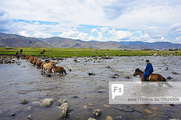 Ein mongolischer Bauer überquert den Fluss  während er seine Pferde hütet  Mongolei