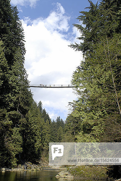 Panorama von der Capilano-Hängebrücke. Nord-Vancouver  Britisch-Kolumbien