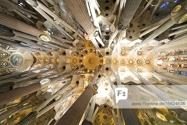Die Decke von La Sagrada Familia in Barcelona  Spanien.