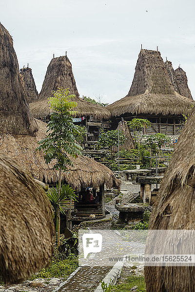 Strohhäuser in einem traditionellen Dorf auf Sumba  Indonesien
