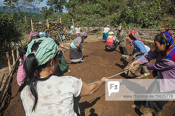 Robert Hahn helps grade a flat platform for a new home by standing on a sort of flat plow as others pull in Ban Phak Kung  Laos.