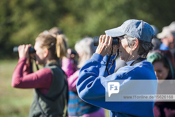 Älterer Mann schaut durch ein Fernglas bei der Vogelbeobachtung mit der Audubon Society  Johnston  Rhode Island  USA
