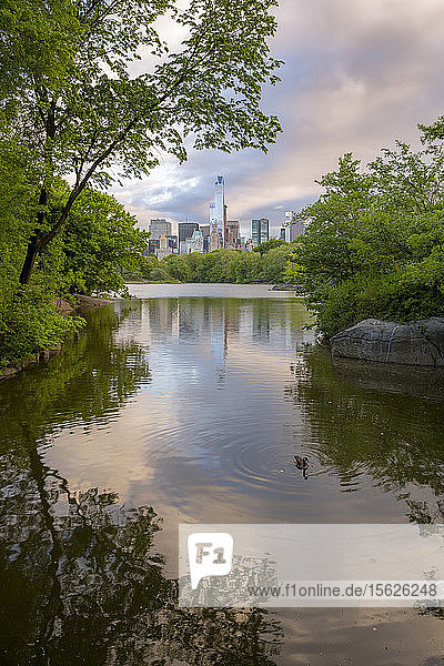 Ansichten des Central Park in Manhattna  New York City  New York.
