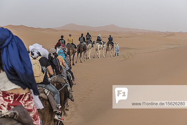 Touristen reiten auf Kamelen in der Wüste Sahara  Merzouga  Marokko