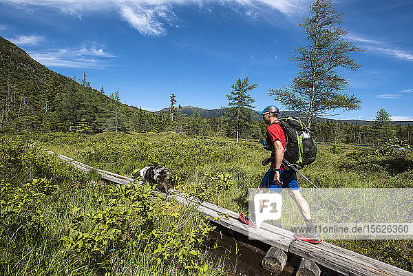 Mann  der mit seinem Hund auf dem Boardwalk spazieren geht  während er in den White Mountains wandert