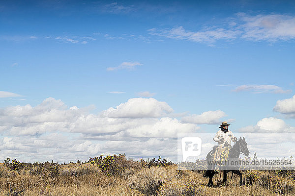 Cowboy Riding Horse Among The Cactus Field In Colorado