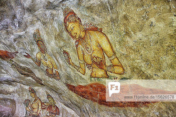 Fresken  Sigiriya (Löwenfelsen)  UNESCO-Weltkulturerbe  Sri Lanka  Asien