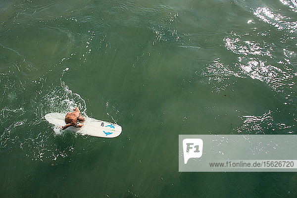Senior man paddling surfboard next to pier near promenade on Golden Mile  Durban  South Africa