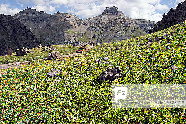 Scenic landscape with meadow with wildflowers and mountains and 4x4 car on dirt road  Yankee Boy Basin  San Juan Mountains  Colorado  USA