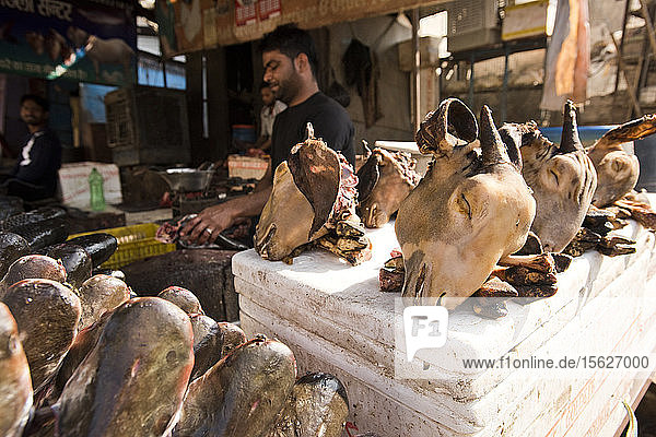 Ziegenköpfe zum Verkauf durch einen Straßenhändler in Jaipur  Indien.