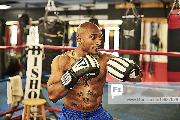 Seitenansicht eines männlichen Boxers beim Training im Boxring  Taunton  Massachusetts  USA