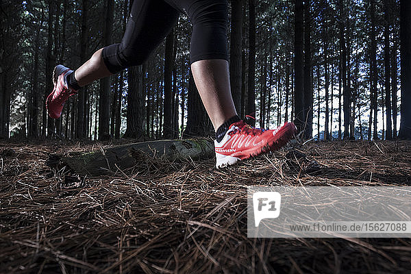 Eine Sportlerin läuft auf einem Pfad durch eine Kiefernplantage im Nordwesten Tasmaniens.