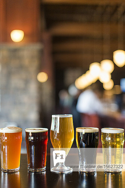 Glasses of various beersï¾ standingï¾ in row at bar  Seattle  Washington  USA