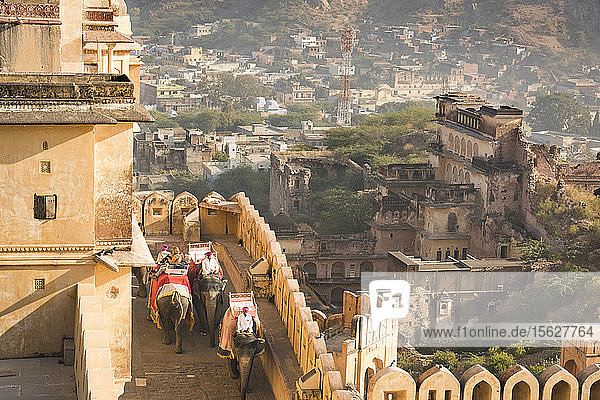 Elefanten tragen Touristen hinauf zum Roten Fort in Jaipur  Indien.