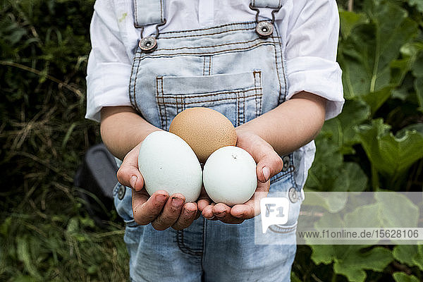 Nahaufnahme eines im Freien stehenden Mädchens  das drei frisch gelegte Eier in den Händen hält.