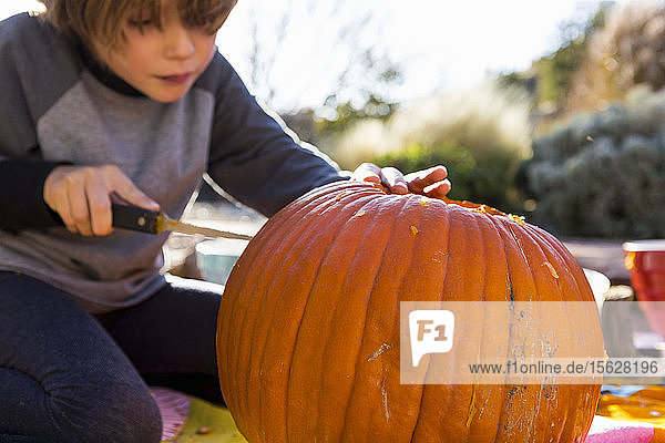 Ein sechsjähriger Junge schnitzt an Halloween einen Kürbis.
