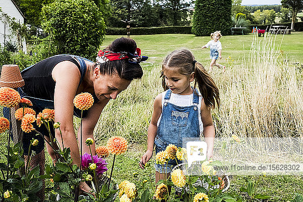 Mädchen und Frau stehen in einem Garten und pflücken rosa und gelbe Dahlien.