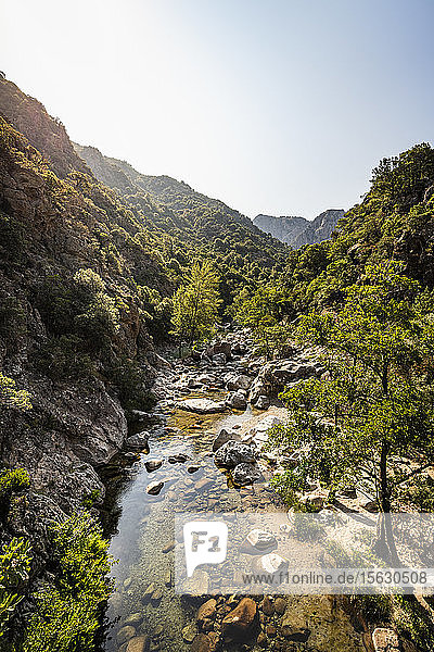 Ruisseau de Aitone  Gorges de Spelunca  Ota  Korsika  Frankreich