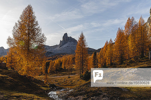 Herbstliche Berglandschaft im Morgenlicht Dolomiten Cortina Italien