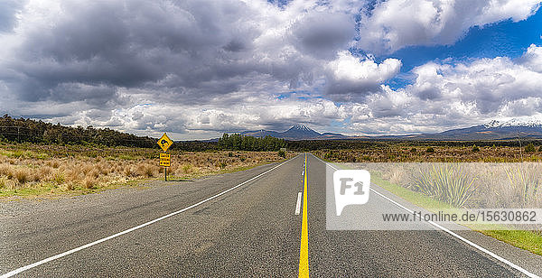 Empty road in Tongariro National Park  South Island  New Zealand