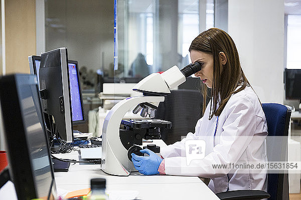 Junge Frau untersucht Proben mit dem Mikroskop  während sie in einem modernen Labor arbeitet