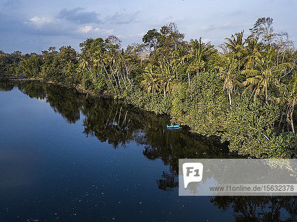 Aerial view of boat on river by palm trees against sky at Bali  Indonesia