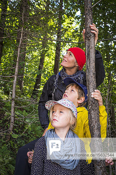 Deutschland  Oberbayern  Mutter und Kinder im Wald