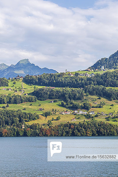 Schweiz  Gersau  Schwyz  Stadt am Seeufer des Vierwaldstättersees im Sommer