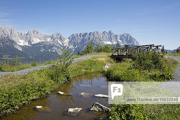 Wasser inmitten von Pflanzen gegen das Kaisergebirge am Astberg  KitzbÃ¼hel  Tirol  Österreich