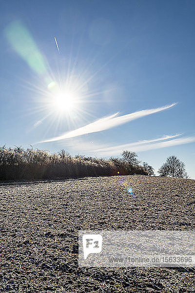 Deutschland  Baden Württemberg  Taubertal  Uissigheim  Raureif auf dem Feld bei Sonnenaufgang im Winter