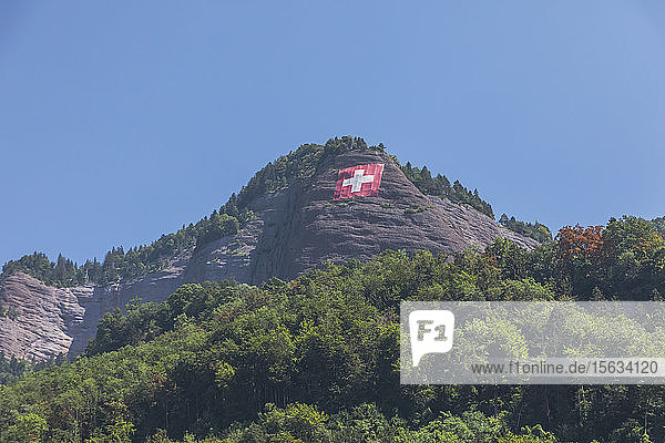 Schweiz  Luzern  Vitznau  Schweizer Fahne am bewaldeten Hang im Sommer