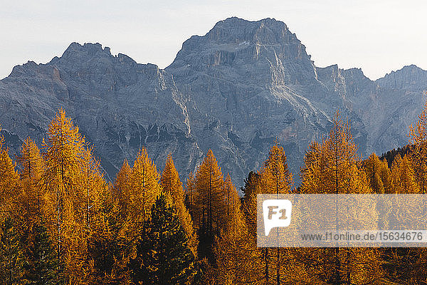 Herbstliche Berglandschaft im Morgenlicht Dolomiten Cortina Italien