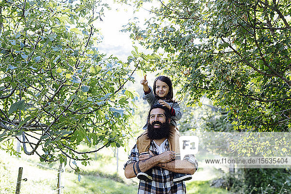 Glücklicher Vater mit Kind auf den Schultern in einem Obstgarten