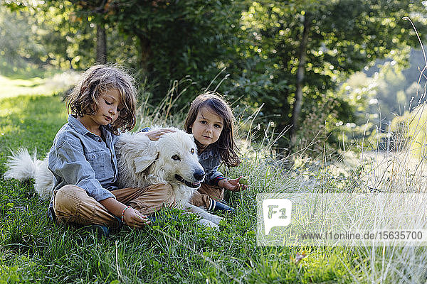 Zwei Kinder entspannen mit Hund auf einer Wiese