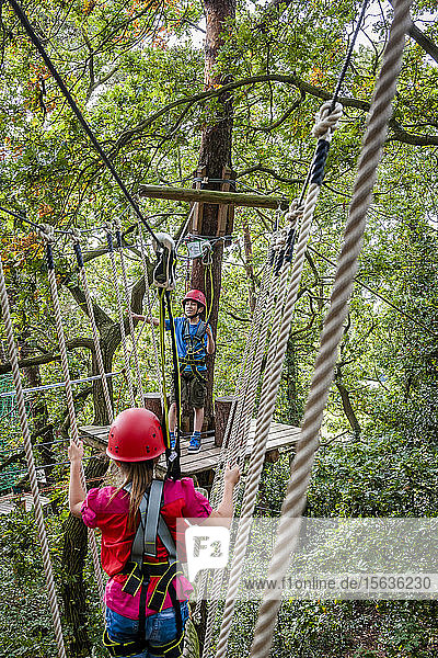 Boy and girl on a high rope course in forest